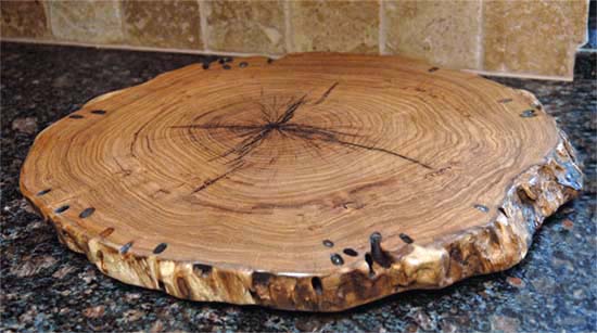 8 Treated wood slices, wood rounds, wood cookies, 8 inch, 8 inch wood  slices.