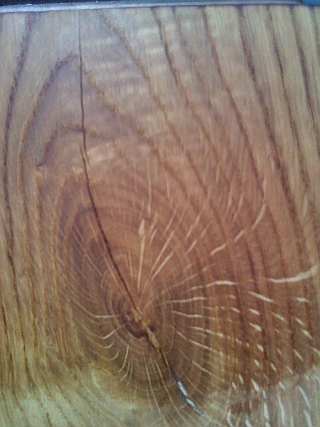 Staining the Medullary Rays in Oak