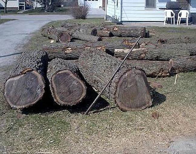 Where to Get Free Logs